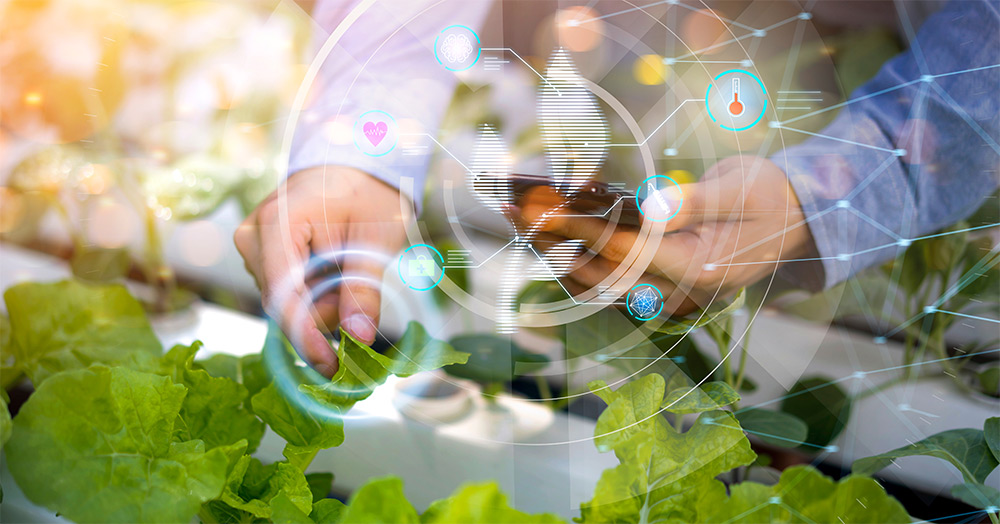 Israel is a groundbreaking FoodTech powerhouse (shutterstock)