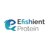 E-FISHient Protein